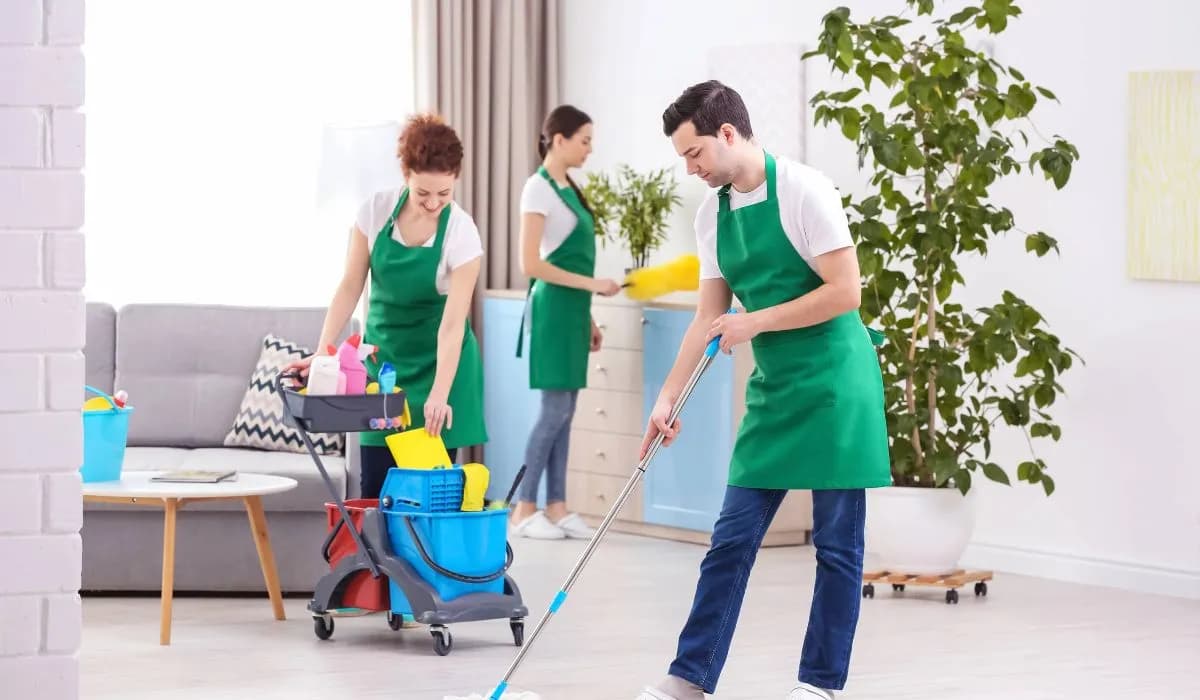 Professional cleaning service