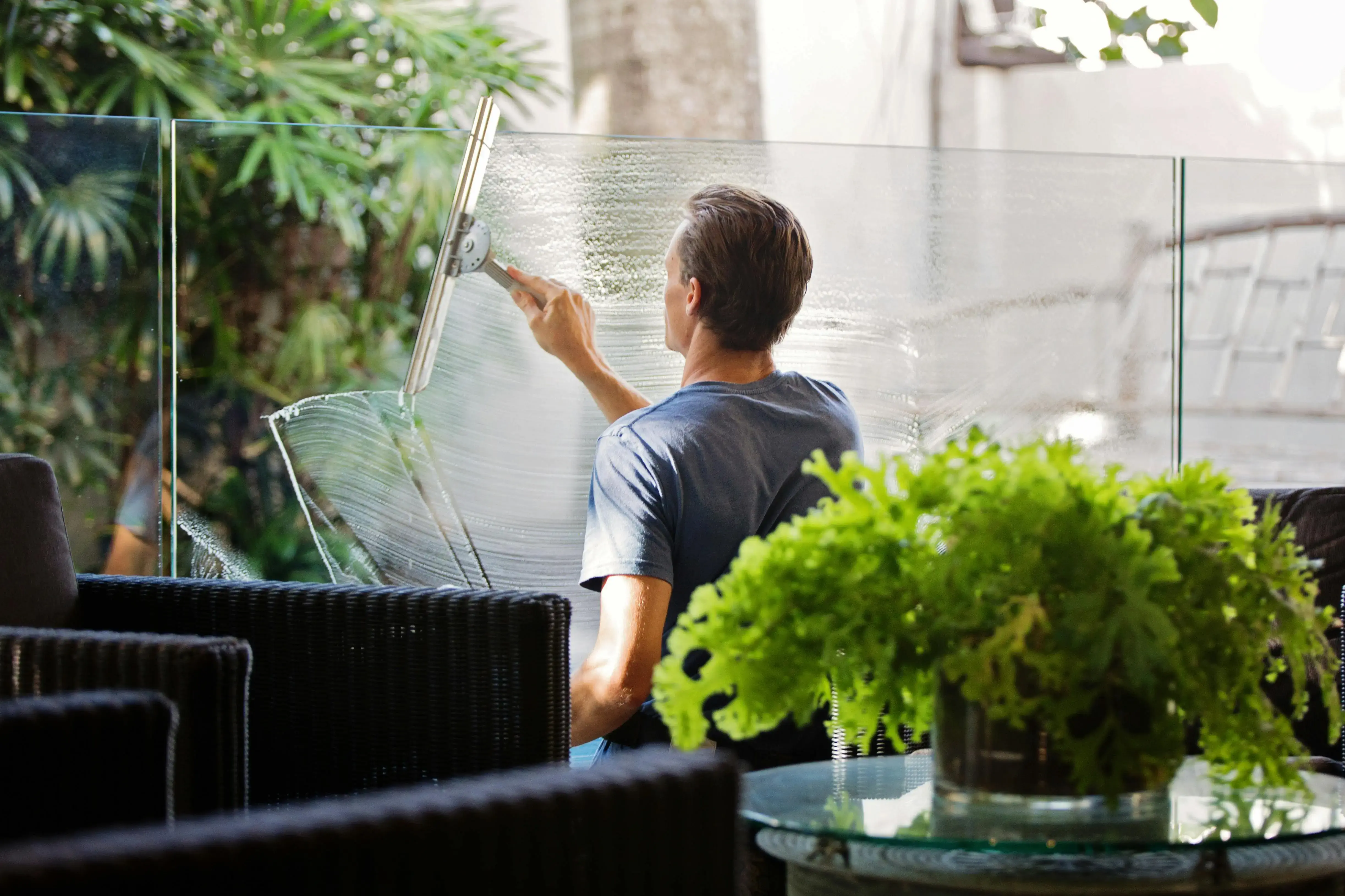 Professional Cleaning Services